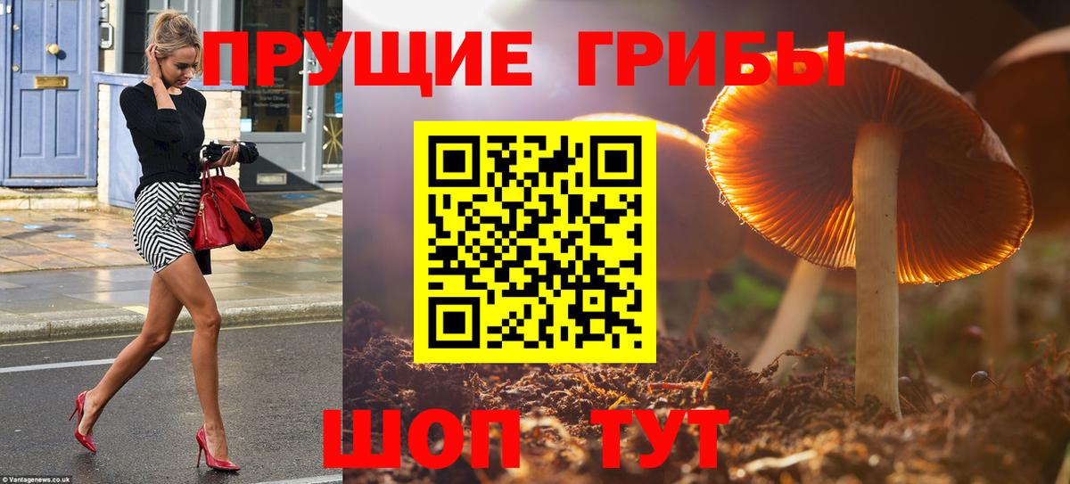 Галлюциногенные грибы мицелий  Вход с VPN  дарнет шоп  Лысьва 
