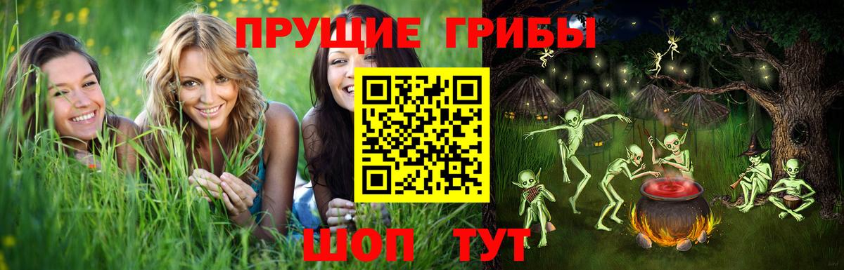 Псилоцибиновые грибы MAGIC MUSHROOMS Лысьва